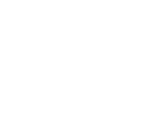 Hull logo white