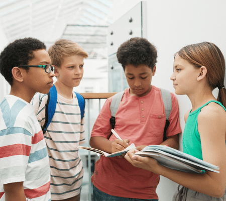 diverse students widening participation in k12 schools