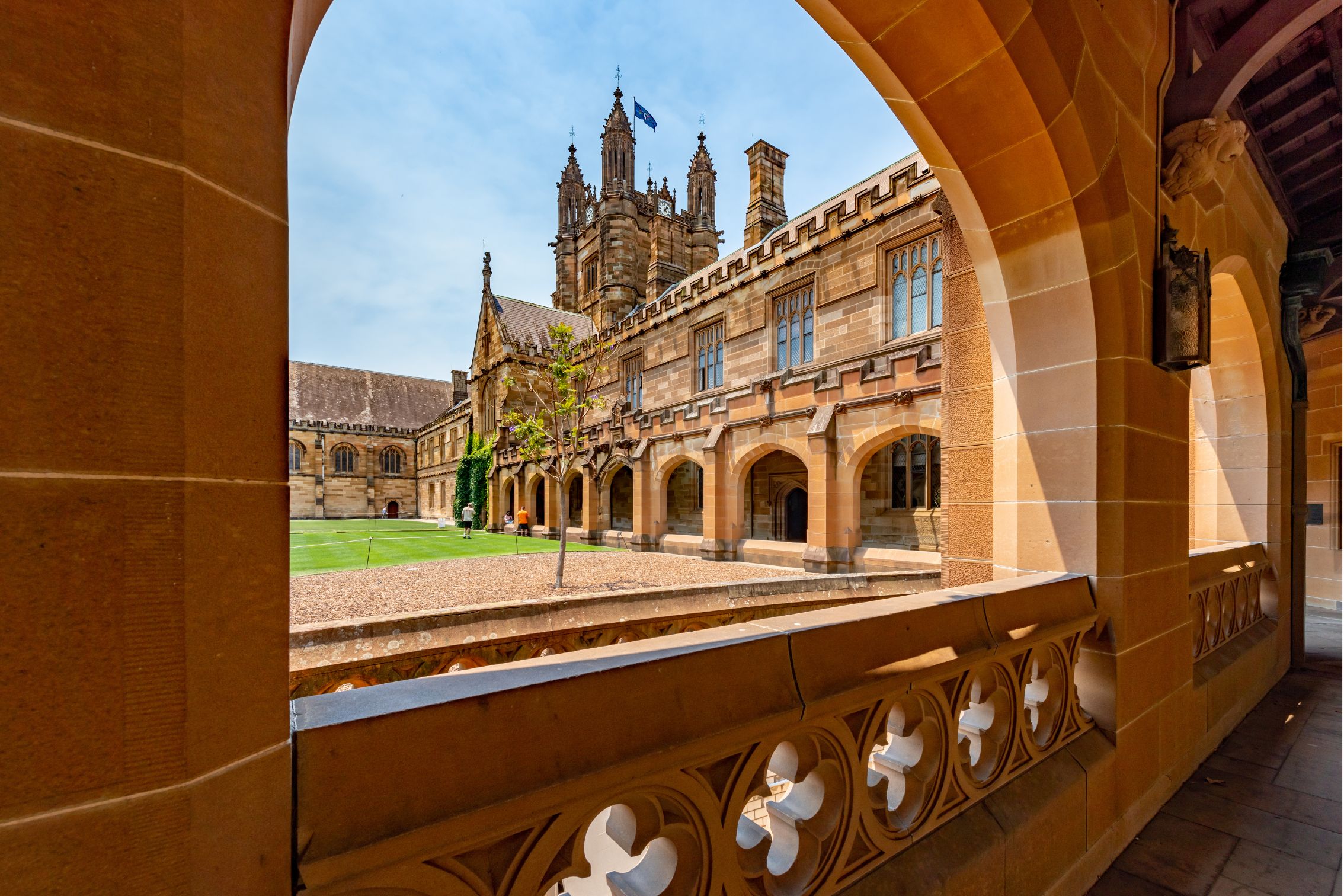 Informe provisional de las universidades australianas: La Universidad de Sydney