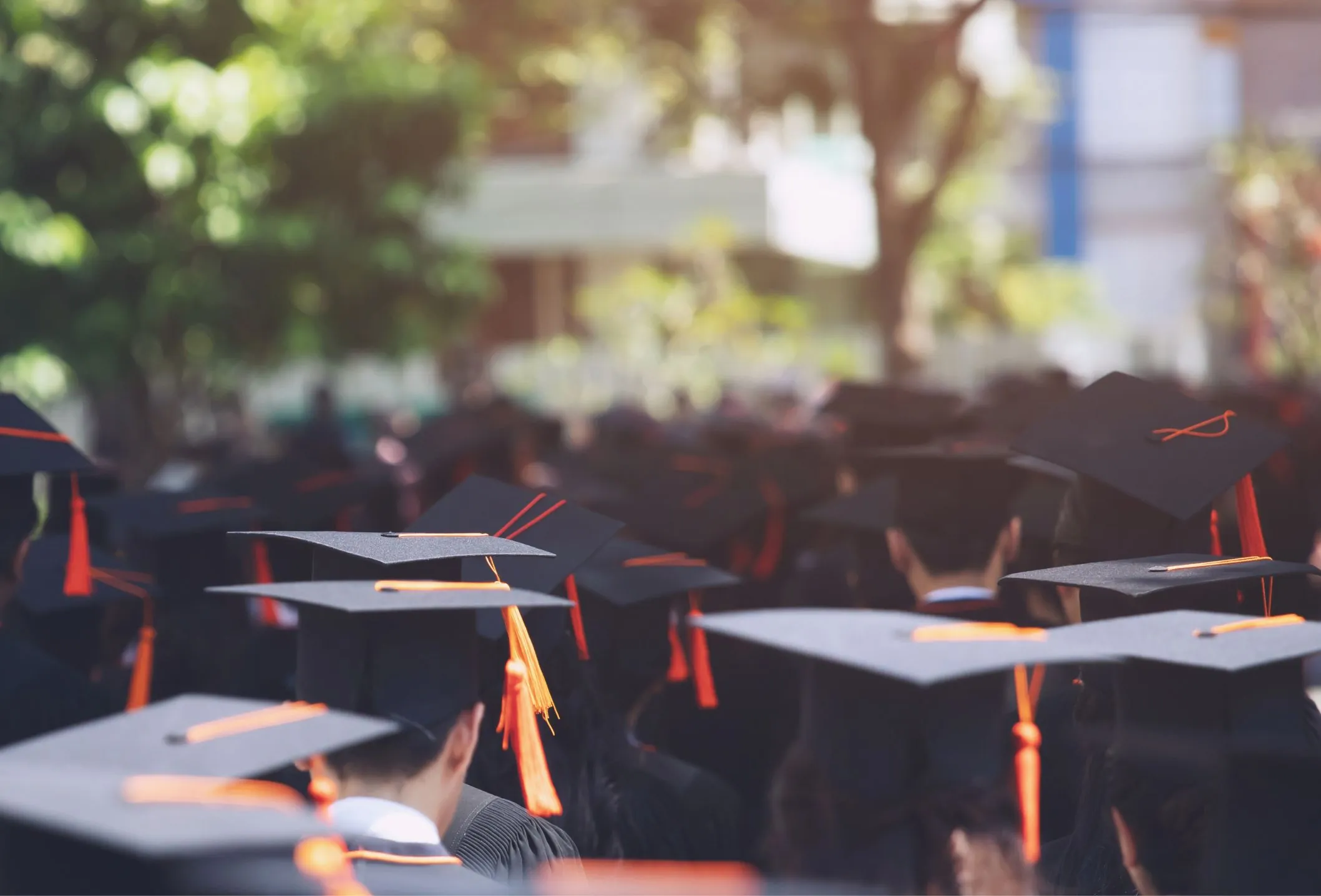 L'importance de l'enseignement supérieur.